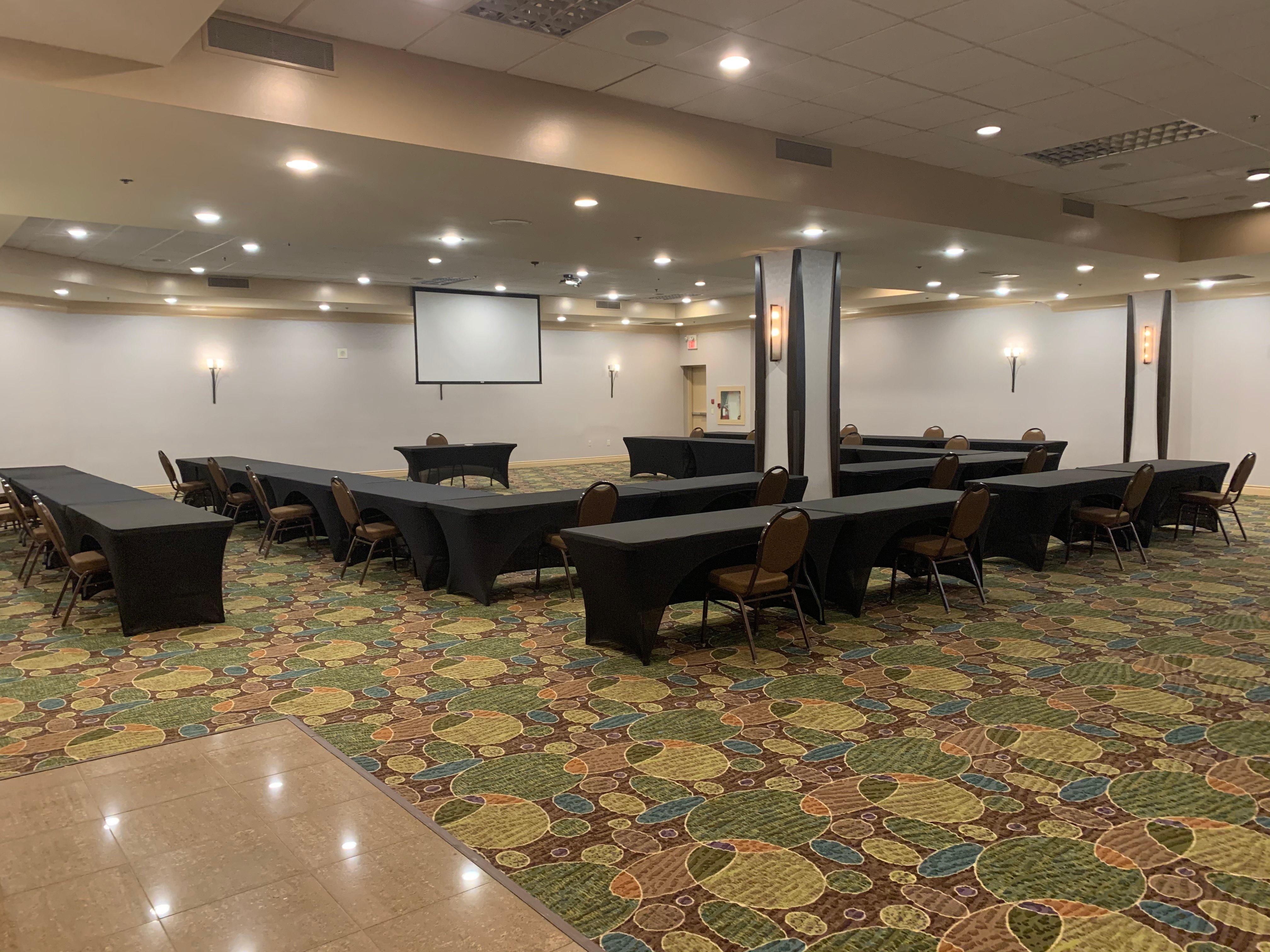 Holiday Inn Windsor - Ambassador Bridge By Ihg Exterior foto